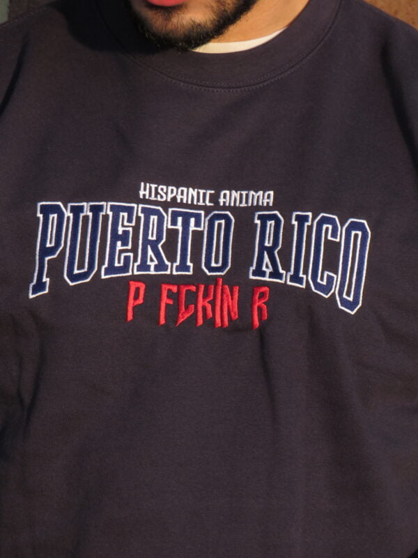 IMG_3953 20% OFF: Premium Embroidery Vintage Puerto Rico Sweater