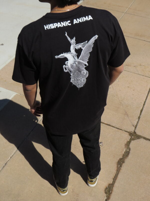 IMG_4053 10% OFF: Premium "Pegasus" T-shirt