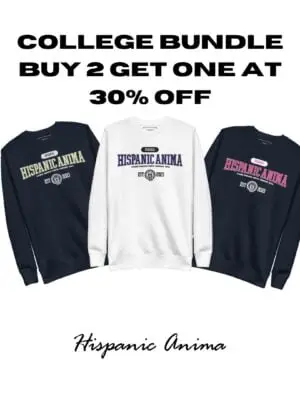 Bundle College Buy 2 get one 30% off