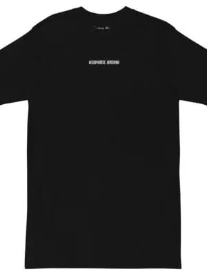 Premium Embroidery "OG" heavyweight t-shirt